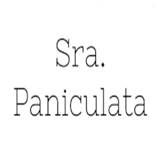 sra-paniculata-flores-decoracion-bodas-barcelona
